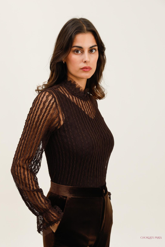 Ariane Lace Turtleneck Blouse ~ Brown